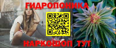 ПСИЛОЦИБИНОВЫЕ ГРИБЫ Канаш
